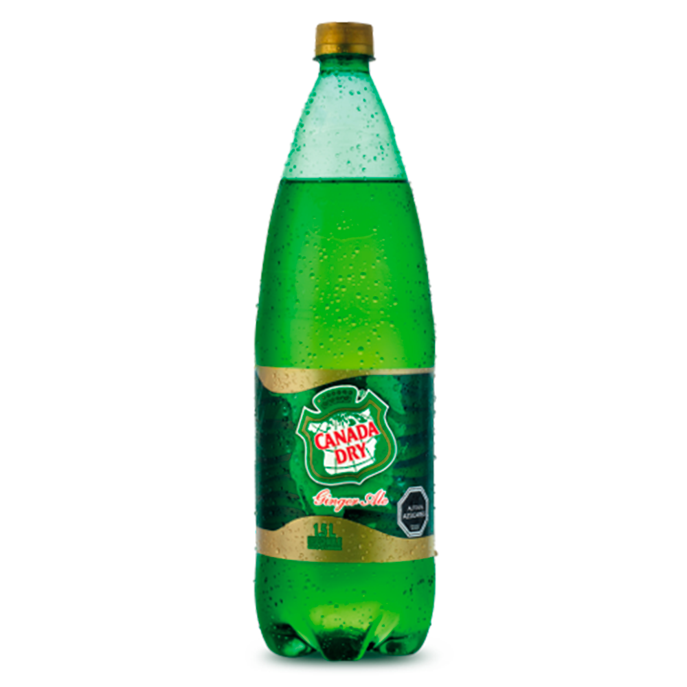 Bebida Ginger Ale Canada Dry Botella 1500cc