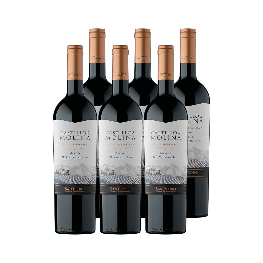 6x Vino Castillo de Molina Gran Reserva Cepas 750cc
