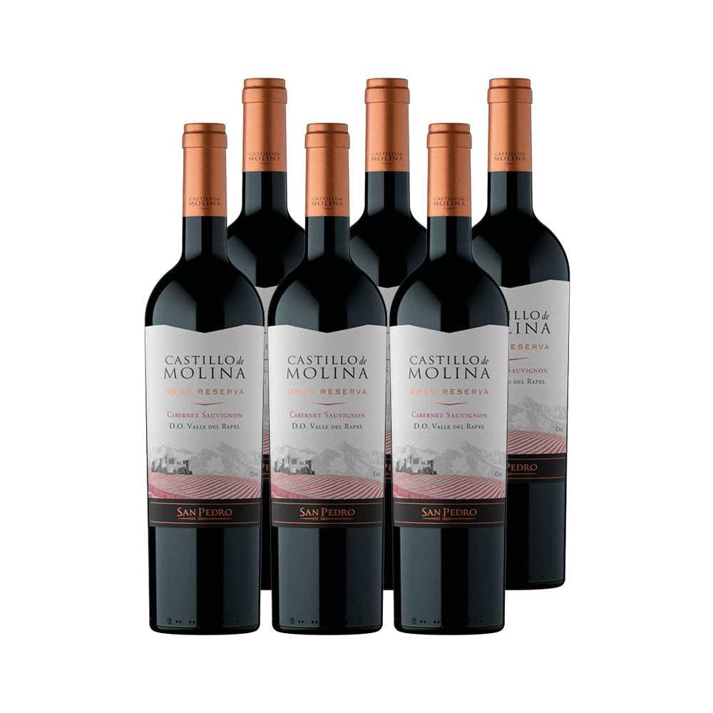 6x Vino Castillo de Molina Gran Reserva Cepas 750cc