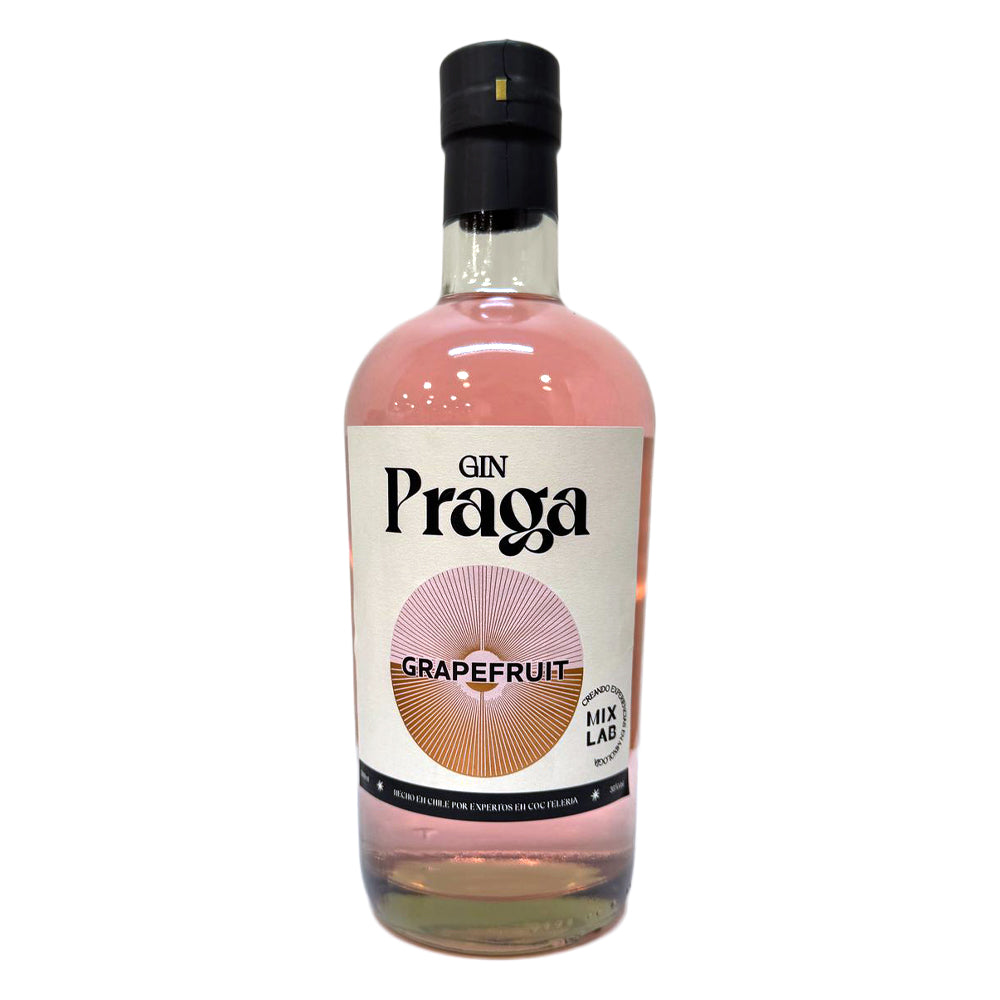 6x Gin Praga Grapefruit 38° 700cc