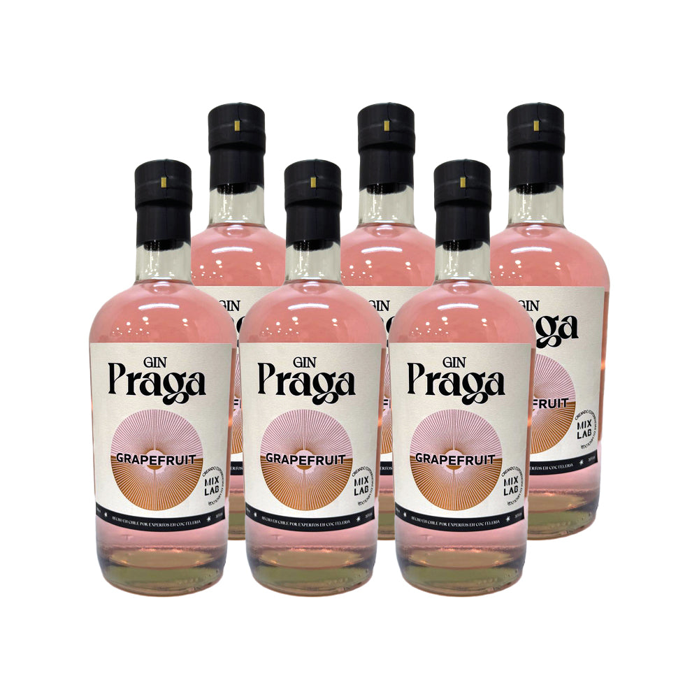 6x Gin Praga Grapefruit 38° 700cc